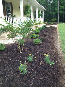 Meet your Posher, Carla